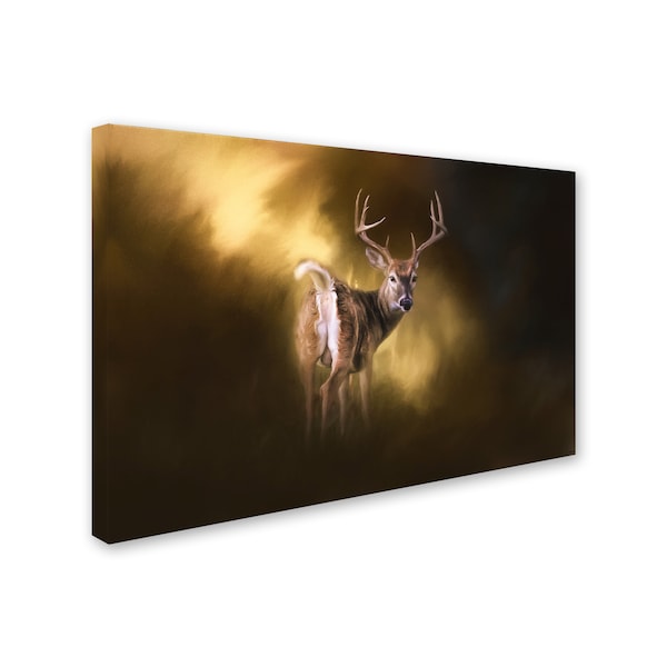 Jai Johnson 'Nine Pointer' Canvas Art,12x19